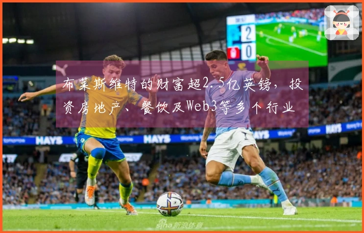 布莱斯维特的财富超2.5亿英镑，投资房地产、餐饮及Web3等多个行业